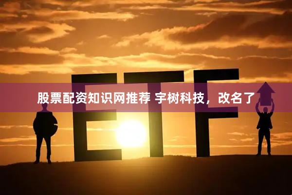 股票配资知识网推荐 宇树科技，改名了